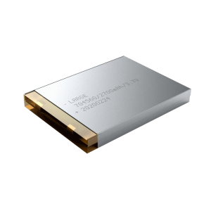 2700mAh 3.7V Lithium Ion Battery for Data Collection Terminal